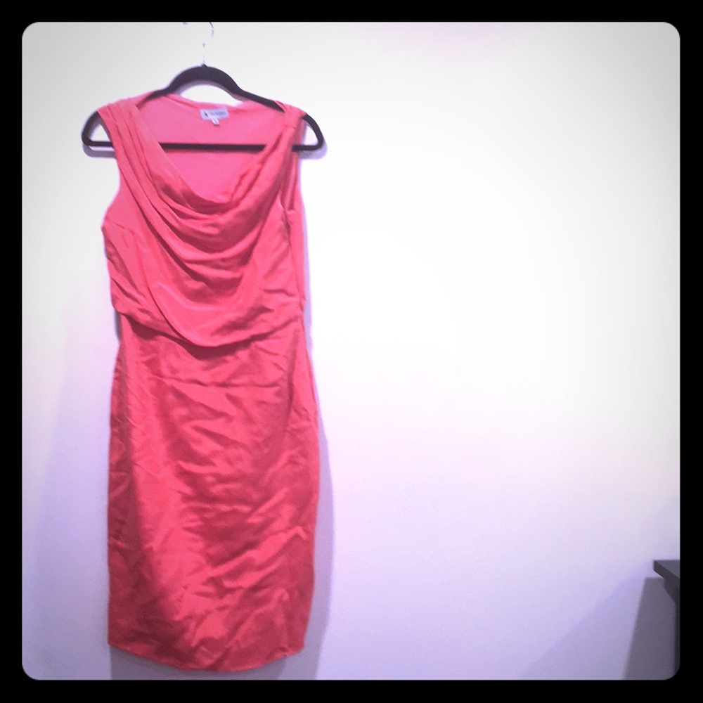 Coral Ava & Aiden dress
